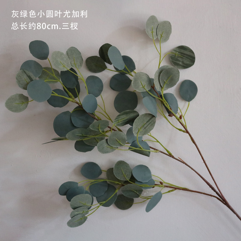 Gris Verde pequeña hoja redonda de eucalipto