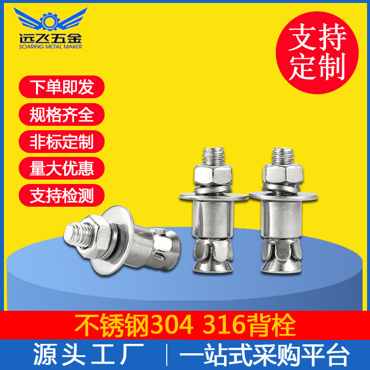304 316 stainless steel back Bolt tapping back Bolt marble pendant screw curtain wall stone screw accessories 304 316 stainless steel back Bolt tapping back Bolt marble pendant screw curtain wall stone screw accessories