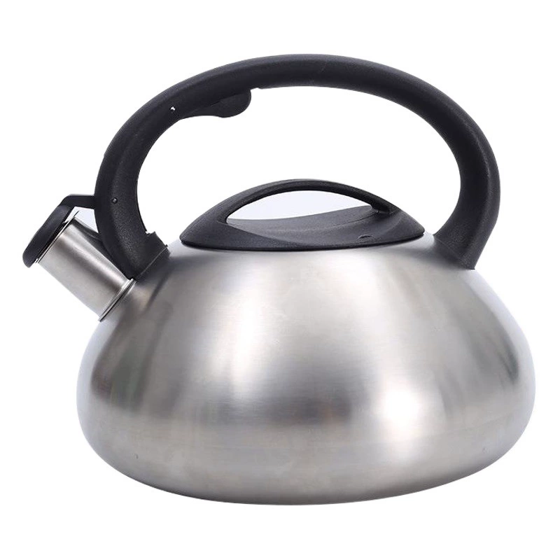 Звуковой чайник из нержавеющей стали Biyou, Европейский чайник для заваривания кофе, чайный свисток, чайник, трансграничное классическое утолщение