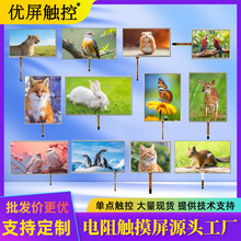 SlF؛7-21.5翹ɔ_I|SֱN