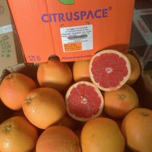南非红心西柚新鲜巨无霸大果孕妇当季水果柚子红肉葡萄柚