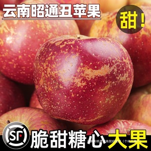 2025�����ͨ���O�����r��ͨ�б����ĳ��O���t��ʿ�ЋDˮ������