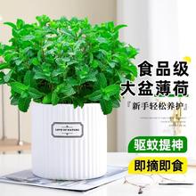 ���象�ɿ�ʳ�����Դ�����þGֲ�Ե����҃��ļ����ֲ��؈�����~