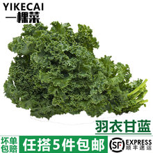 ��yikecai�����¸��{500g ���r�߲����~���mkale����ե֭5�����]