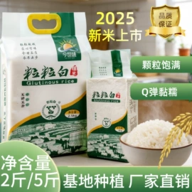 速冻中式面点;大米;淀粉