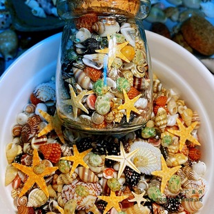 ����ؐ�� �oȾɫ �ɿ�؛��12�N��Сؐ�������S�ƿ �ղ��ֹ��˱�