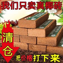 椰砖脱盐椰糠砖通用型椰土低盐椰糠土种花养花种菜种植椰砖土批发