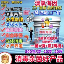 ���Ⱥ�����Ⱥ�����庣���w�����vƬ���Bֳ���Ț�������Ƭ�rз��