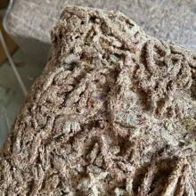 ëë�xˮ̦��̦�\ֲ�ϻ��|�I�B�������m��ʳ�x�ݺ����m��