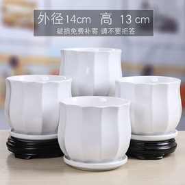 陶瓷花盆大号带托盘简约白色家用蝴蝶兰绿萝多肉吊兰小盆工厂直销