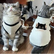 è�乷���·����ļ�����è��������è����ë͸���ɰ�������˿����