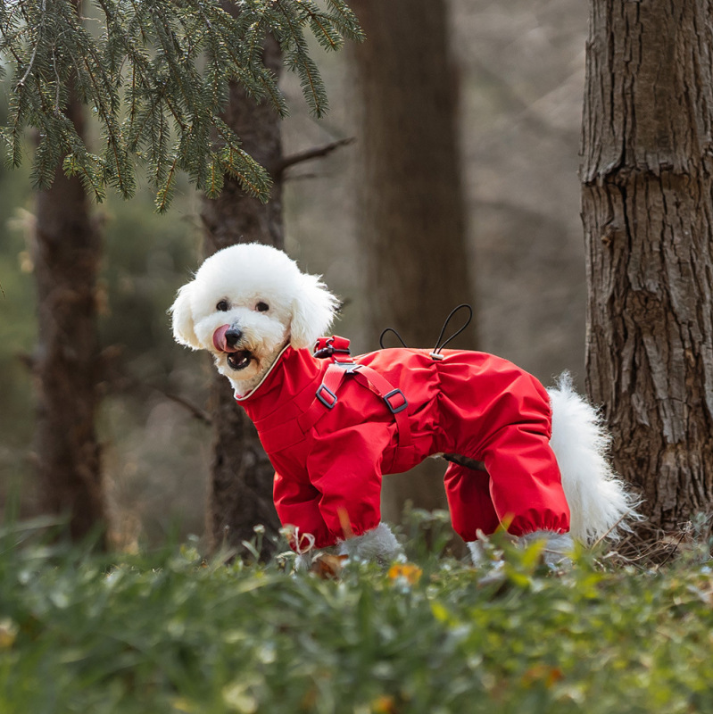アマゾンの四脚は犬レインコートペットレインコート防風雨ペット服胸と背中が一体になって犬服を着ている|undefined