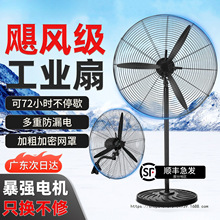 ���I�u�^��L�ȏ����������ţ���ȴ��L�����ʽ����ȩ���S����