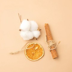 クリスマスツリー装飾ドライ花レモン片綿桂皮巻き撮影道具クリスマスペンダントdiy装飾材料バッグ