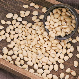 其他药食同源;花果茶;代用/养生茶