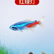 �t�G���~��̖�^�p�~С�͵�ˮ���B�Ꭷ�~���~�ݸ�Ⱥ��ˮ���^�����~