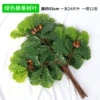 12 golden green fragrant fruit trees