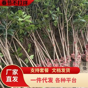 һ�����l�𻨘�����ͥԺ���Խ��ԭ���ߗU�����ͻ����ļ��_����