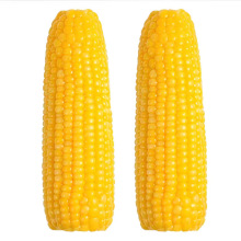 2025�|���Ŵ�����ك��S���װ�Ŵ�������������������ճ���S���]