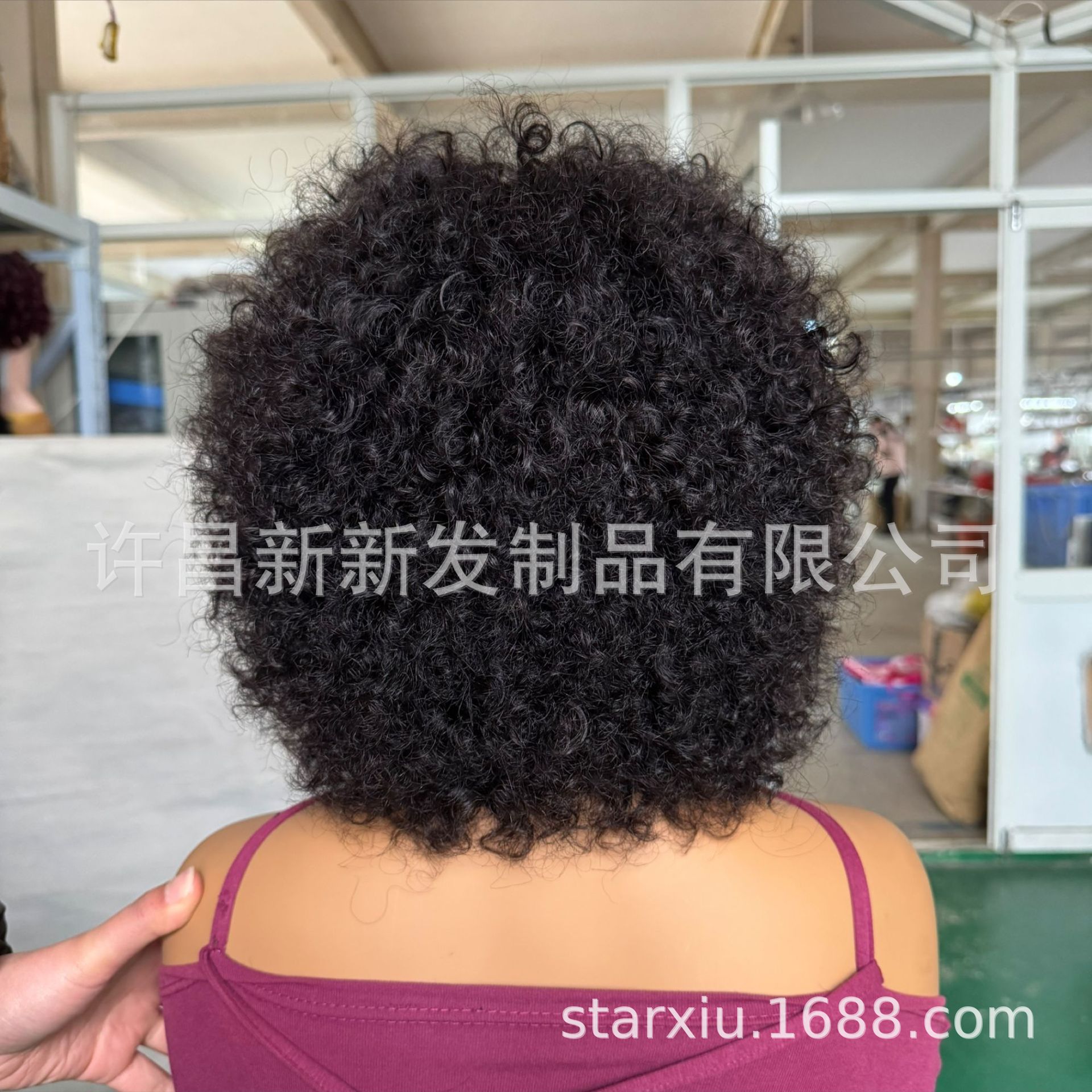 Peluca Corta de Encaje de Cabello Humano Pixiewig Rizada Estilo Afro para Mujer
