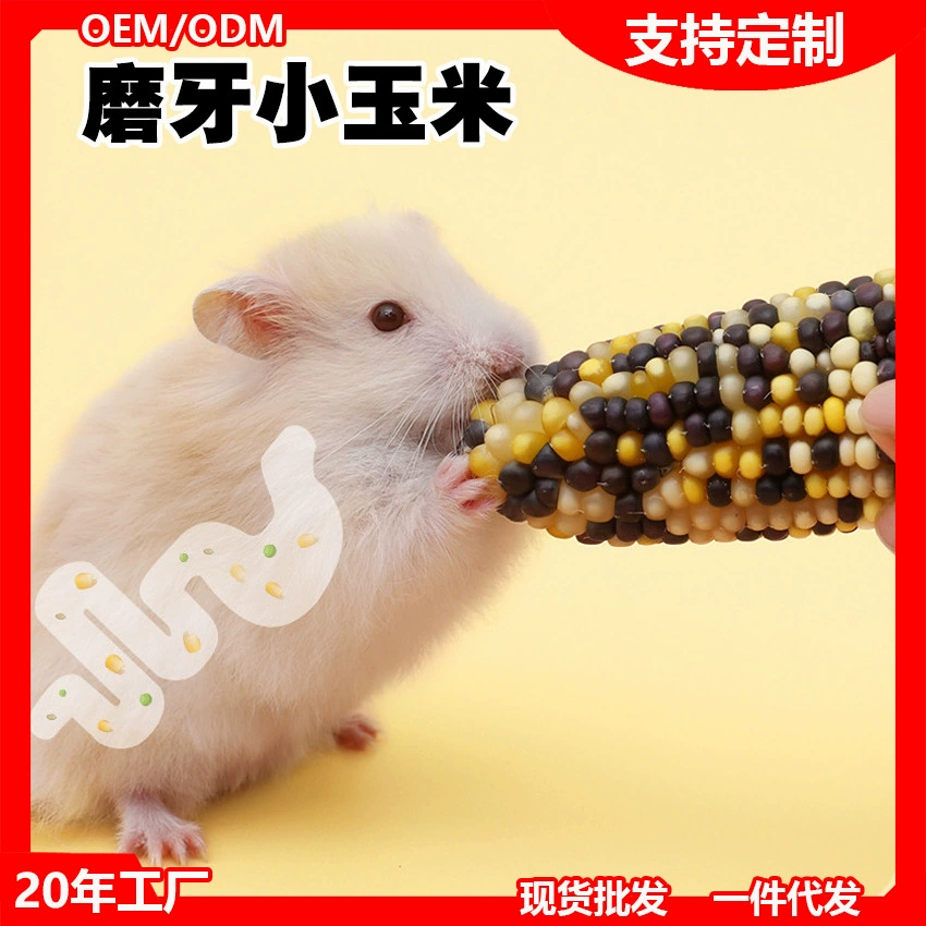 Маленькая кукуруза хомяк зерна колосья золотистого медведя шиншиллу закуска морская свинка