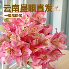 �������ֱ�lˮ�ɰٺ��r�����l��ͥ�����û����r����������ֱ��