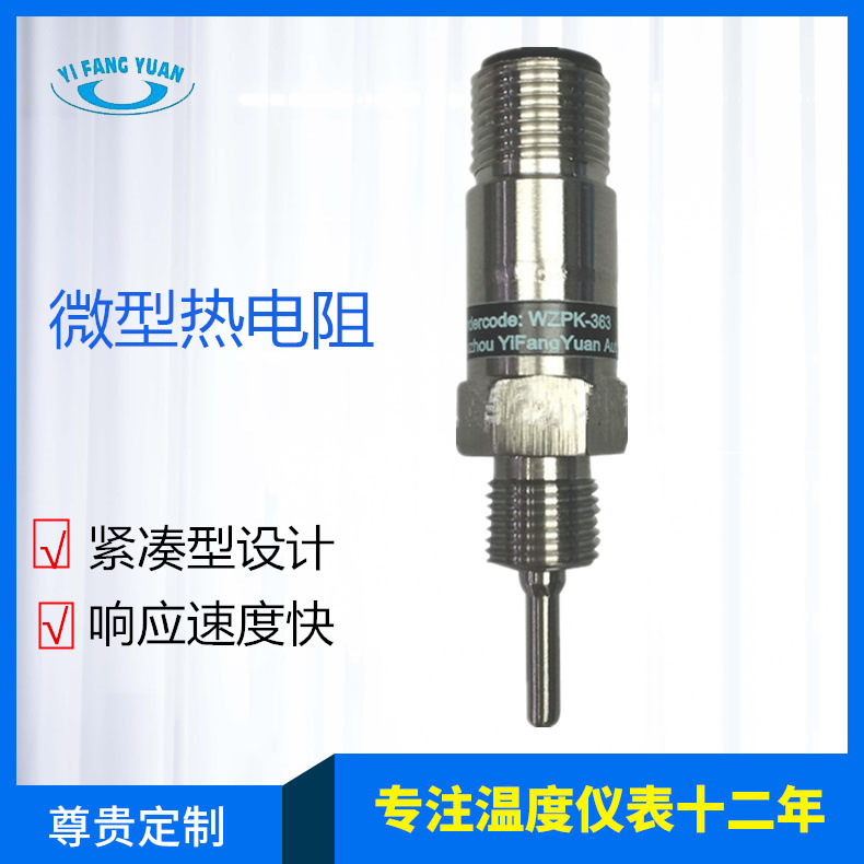 厂家直供 微型热电阻 紧凑型热电阻 超小型PT100铂热电阻