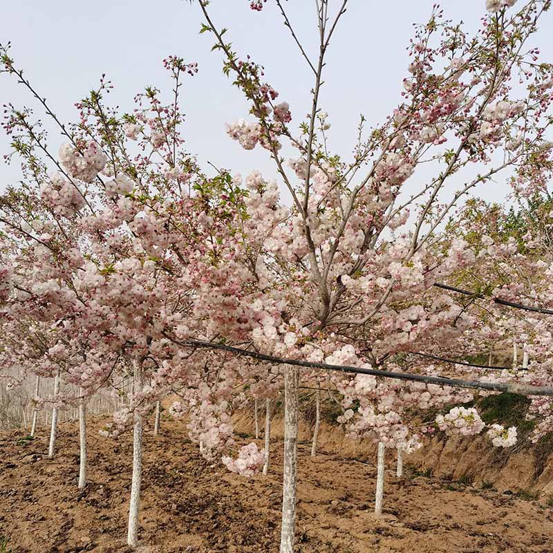 微信图片_20230818145729 副本.jpg