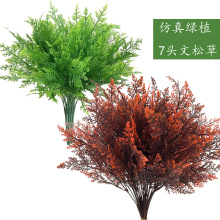 ����ާ��ֲ��7�����ɲݼҾ��b���Gֲ�����＾�F���ٻ����ϻ�