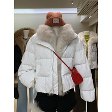 ����������F�����ë�I��q��Ů���ɚW��90���Z�qů�t�i�ض�����