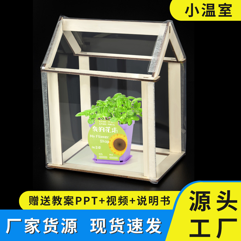 Science and Technology Small Production DIY Small Greenhouse Plant Sunshine Small Greenhouse Kidsren's Handmade Toys Science Small Experimental Materials