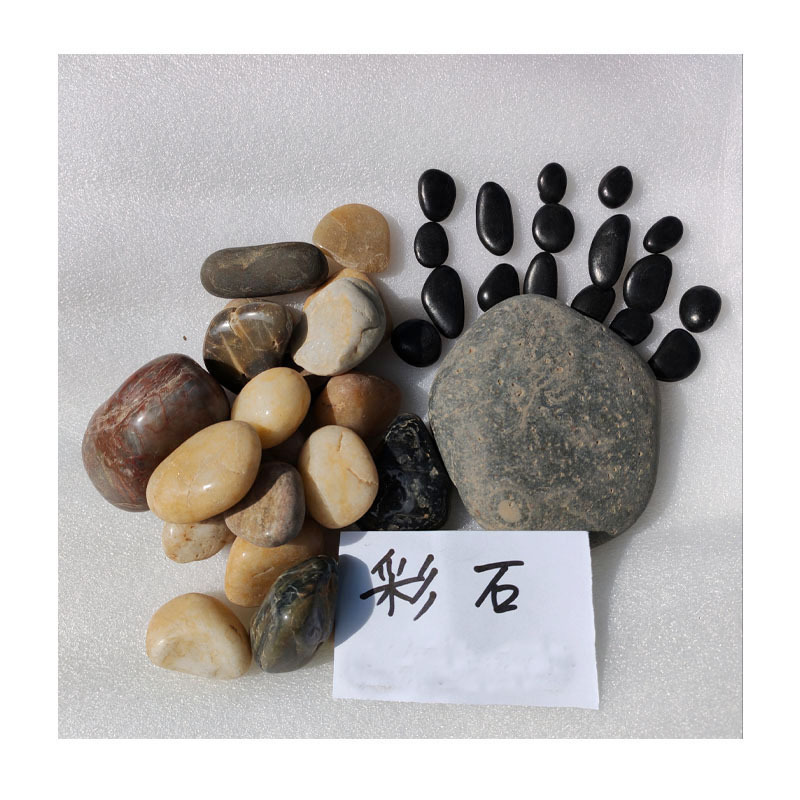 ����΢������̬ƿ��װ - ̦޺ֲ��+ɳ��ʯ+����ƿ�����쾰