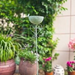 国境を越えたアマゾンTemu小鳥に鳥の花を与え、鳥に水を与え、鳥に着脱金を与える