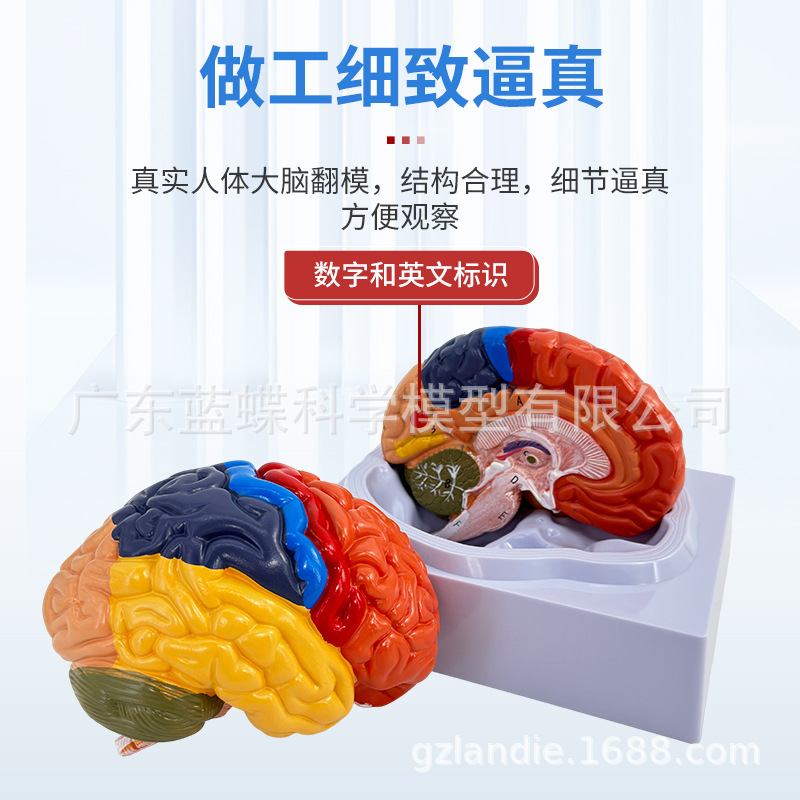 ��ģ�� �Թ�������ɫ��ģ�� ������Խ����Թ���ģ�� ��ɫ�� ���