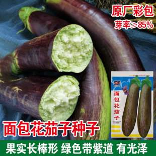 花茄子種子圖片 海量高清花茄子種子圖片大全 阿里巴巴