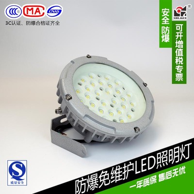 BZD211防爆LED照明燈 上海新黎明LED防爆燈 國標廠銷