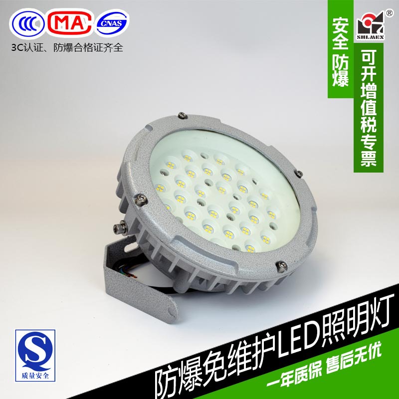 BZD211防爆LED照明燈 上海新黎明LED防爆燈 國標廠銷