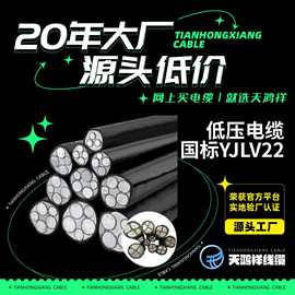 YJLV22铠装铝芯电缆95-400平方3+1/3+2/4+1芯国标电力源头工厂