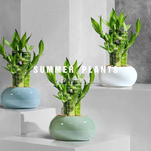 ���F���Ĳ���4֧ˮ�B�ɻ�������ֲ���k���҃����՚�����С����