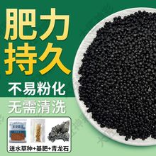 【水草泥免洗不浑水】陶粒砂古法鱼缸造景石底砂水培种子碗莲专用