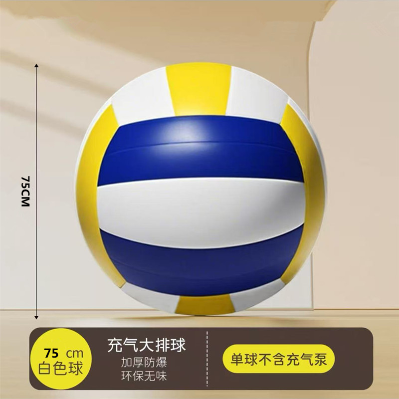 80CM 배구에는 펌프가 포함되어 있지 않습니다.