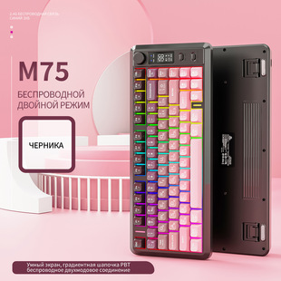 Freewolf M75 روسي لاسلكي بلوتوث ثنائي الوضع لوحة مفاتيح ميكانيكية تعمل باللمس PBT لوحة مفاتيح بغطاء كروي متدرج مع شاشة عرض