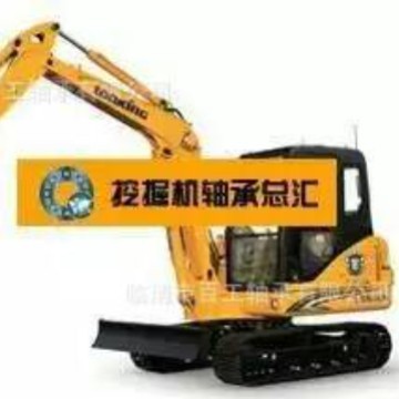 轴承 F-218974.01 F-83764 CPM2165 105BA14 120BA16 BA360-1轴承