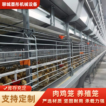 �Bֳ�����u�Bֳ�\�����A��ʽ��\��ʳ�����u��B�\�Ɂ�D����