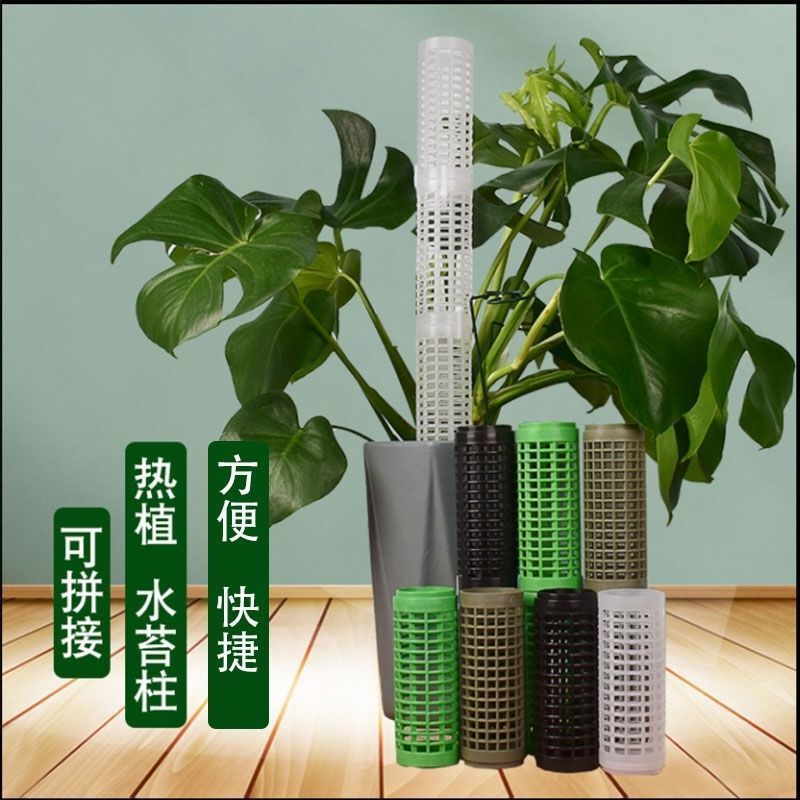 Moss Columns Can Be Spliced to Support Climbing Plants, Such as Pothos, Monstera, and Philodendron Climbing Columns with Fixed Brackets Moss Columns Can Be Spliced to Support Climbing Plants, Such as Pothos, Monstera, and Philodendron Climbing Columns with Fixed Brackets