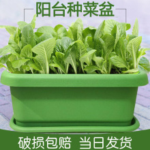 阳台种菜盆长方形塑料花盆家庭蔬菜种植盆种菜大号耐用养花盆