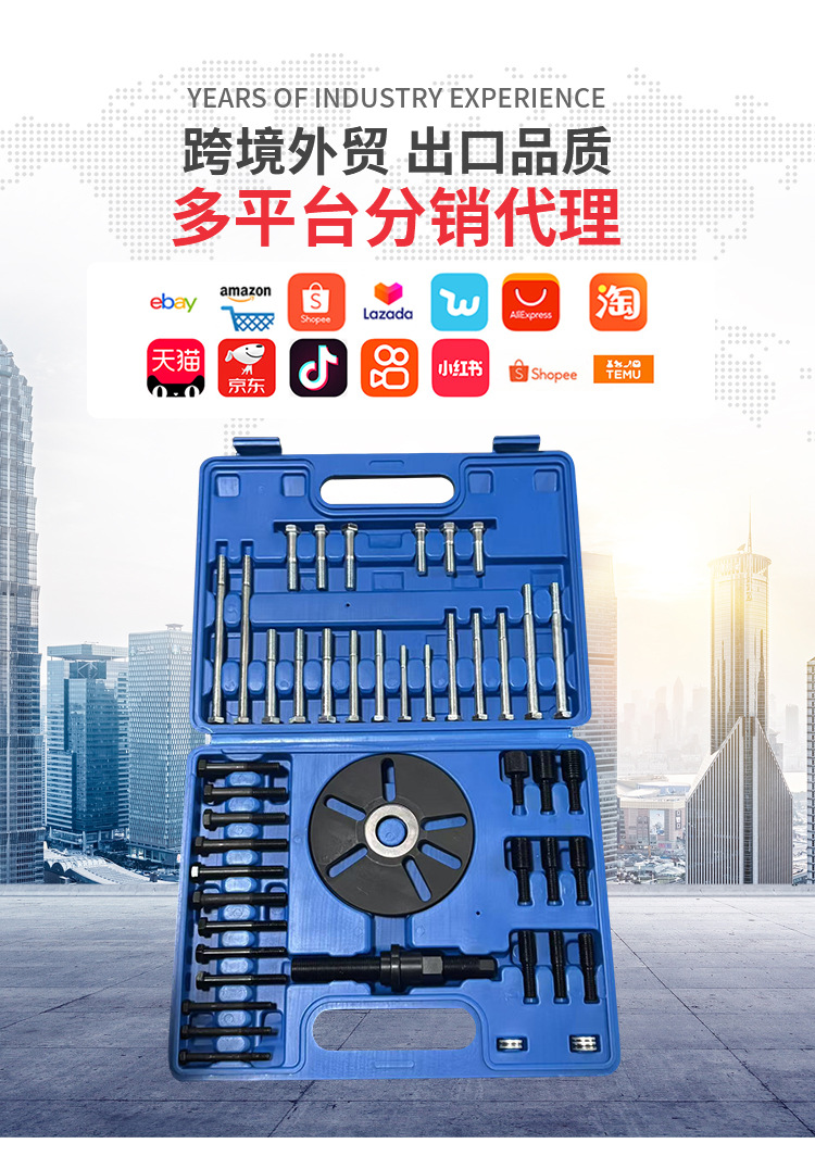 New 48-Piece Set of Buick Regal Crankshaft Pulley Removal Tool Timing Pulley Removal Tool Auto Maintenance