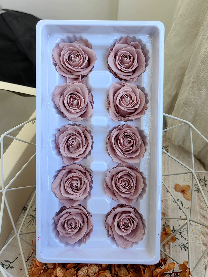 Eternal Rose head A -Class/B -Class Cabca Shengsheng Flower Handmade DIY Teacher's Day Gift Materials