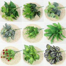 ����С�;Gֲ�쾰���b�������ֲ�������҃Ȳݱڒ젝�[��