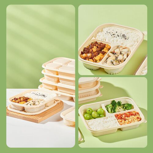 Disposable Eco-Friendly Biodegradable Corn Starch Partitioned With Lid Light Meal Takeaway Food Box